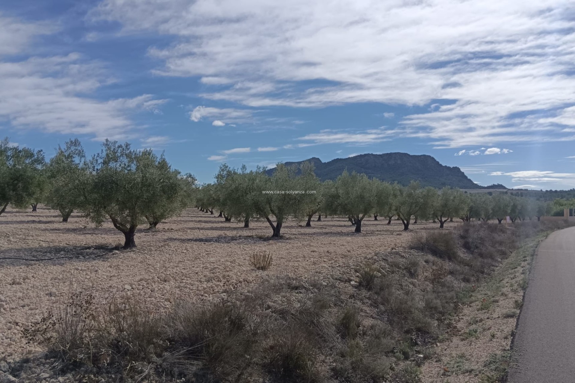 Reventa - Land - Salinas - Inland