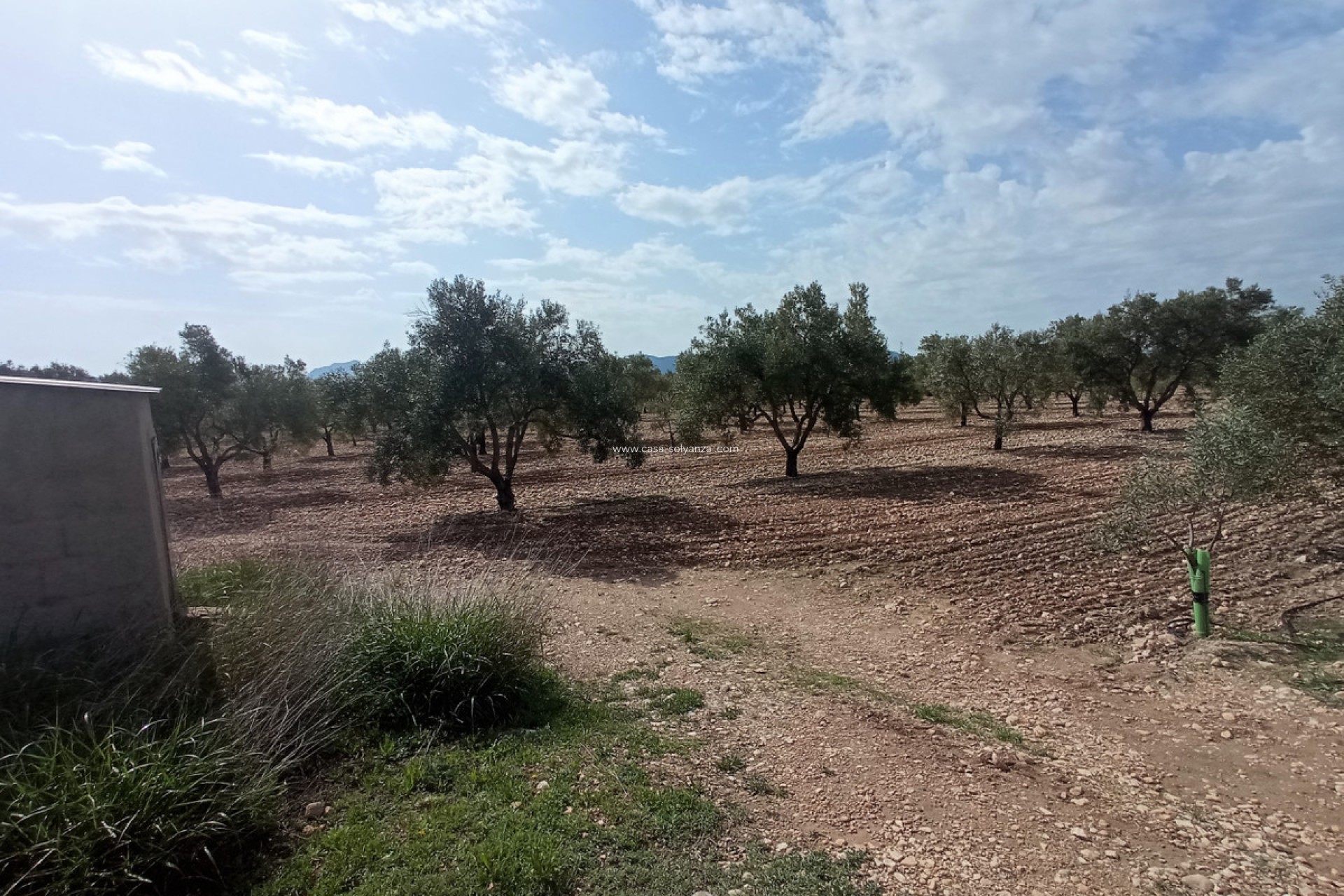 Reventa - Land - Salinas - Salinas Centro