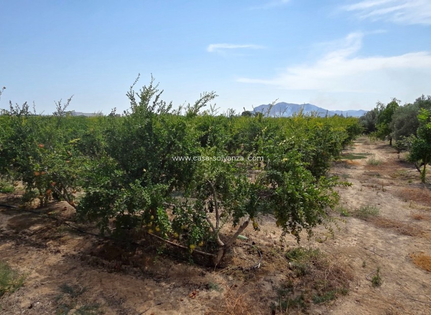 Reventa - Land - San Isidro