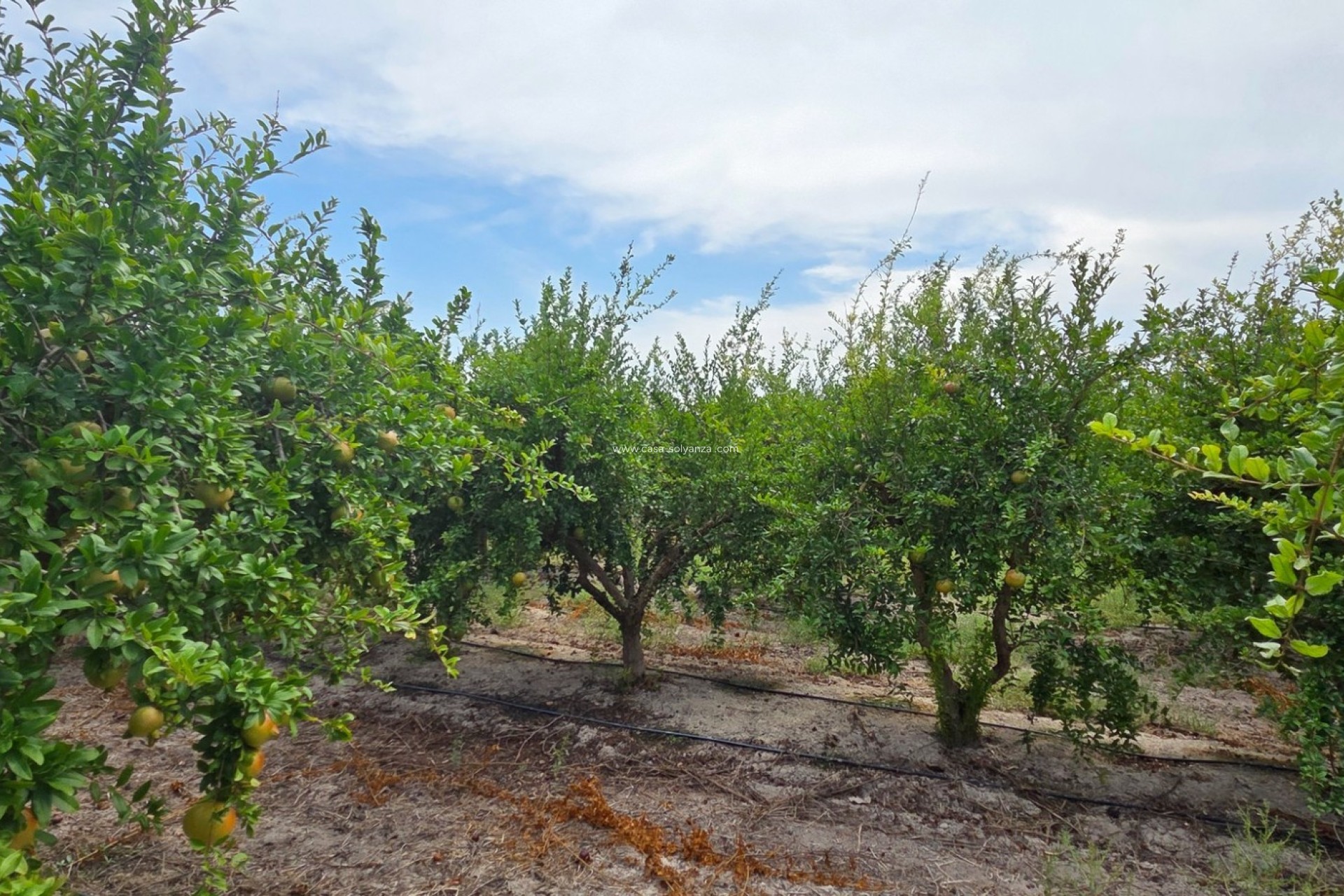 Reventa - Land - San Isidro