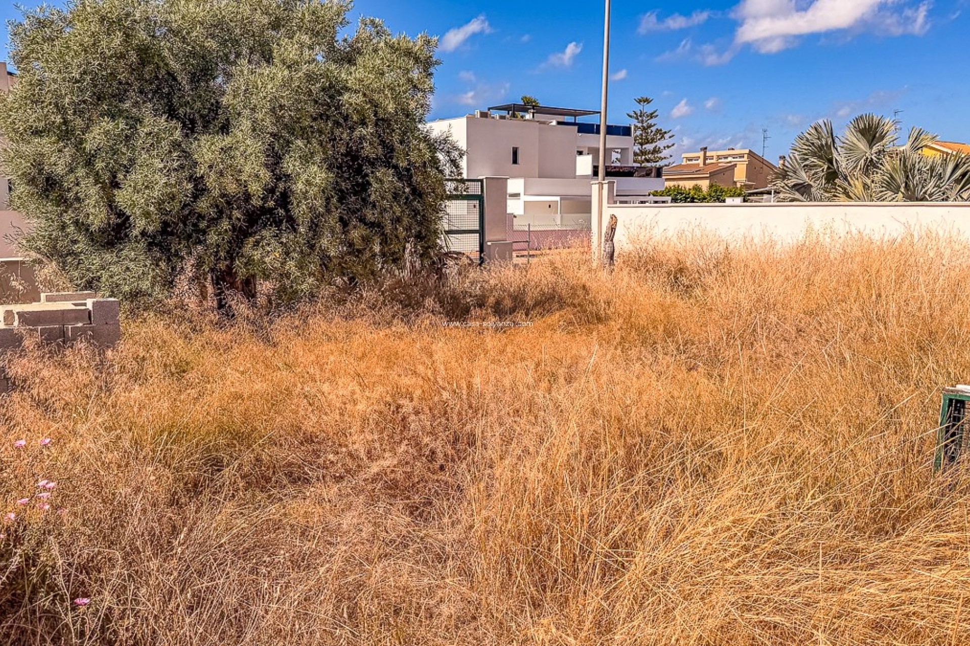 Reventa - Land - SANTIAGO DE LA RIBERA - zona san blas