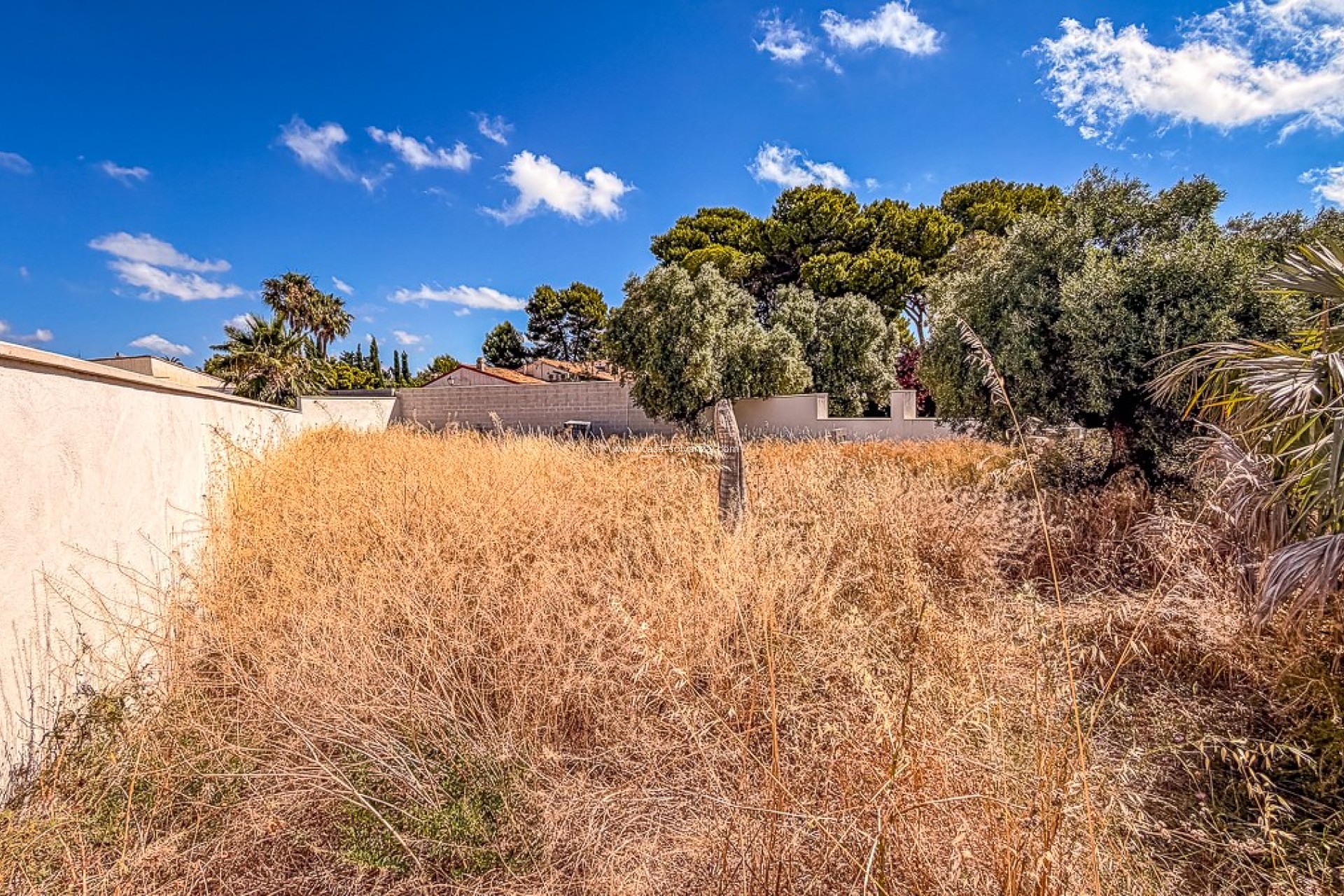 Reventa - Land - SANTIAGO DE LA RIBERA - zona san blas