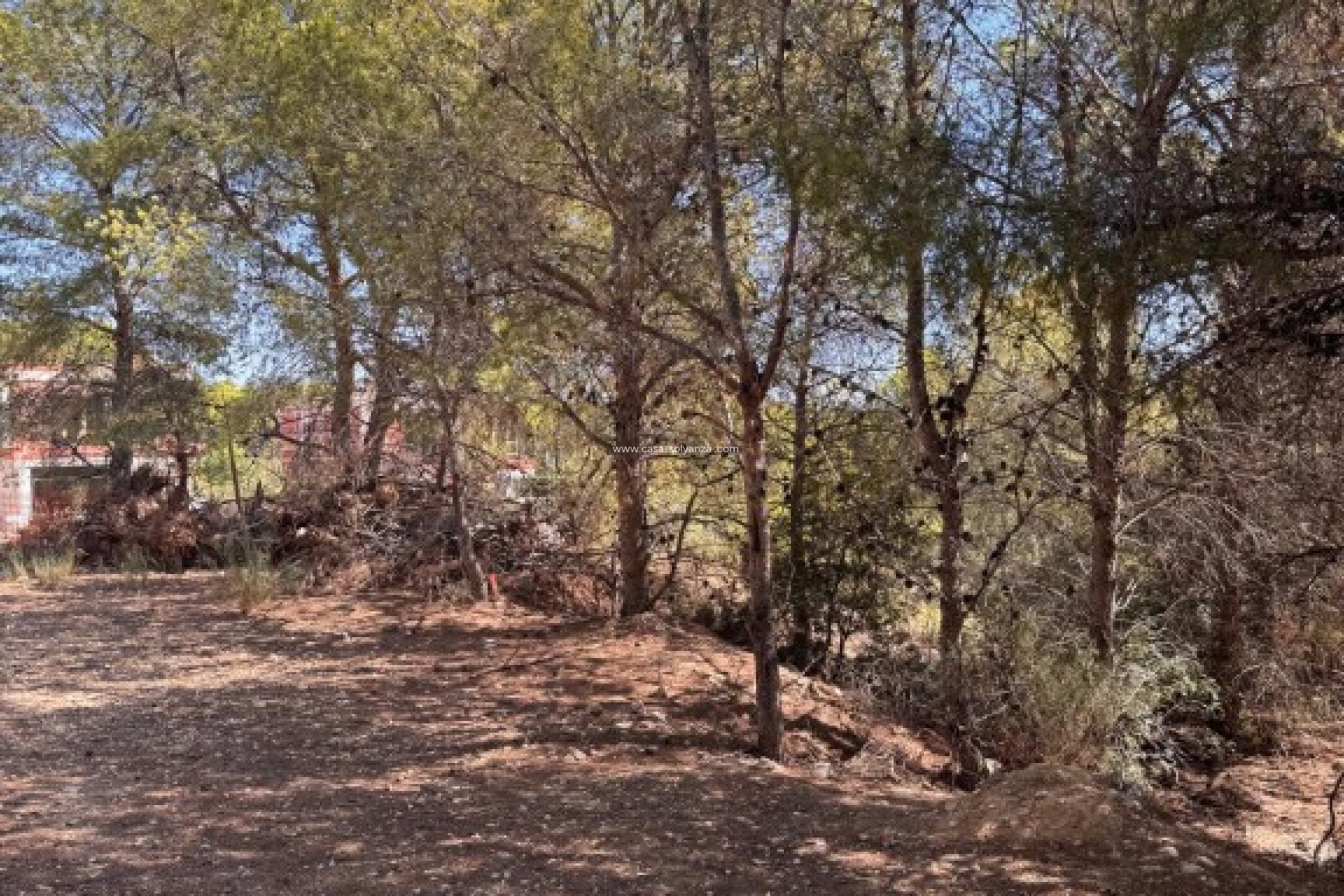 Reventa - Land - Sierra Cortina - Inland