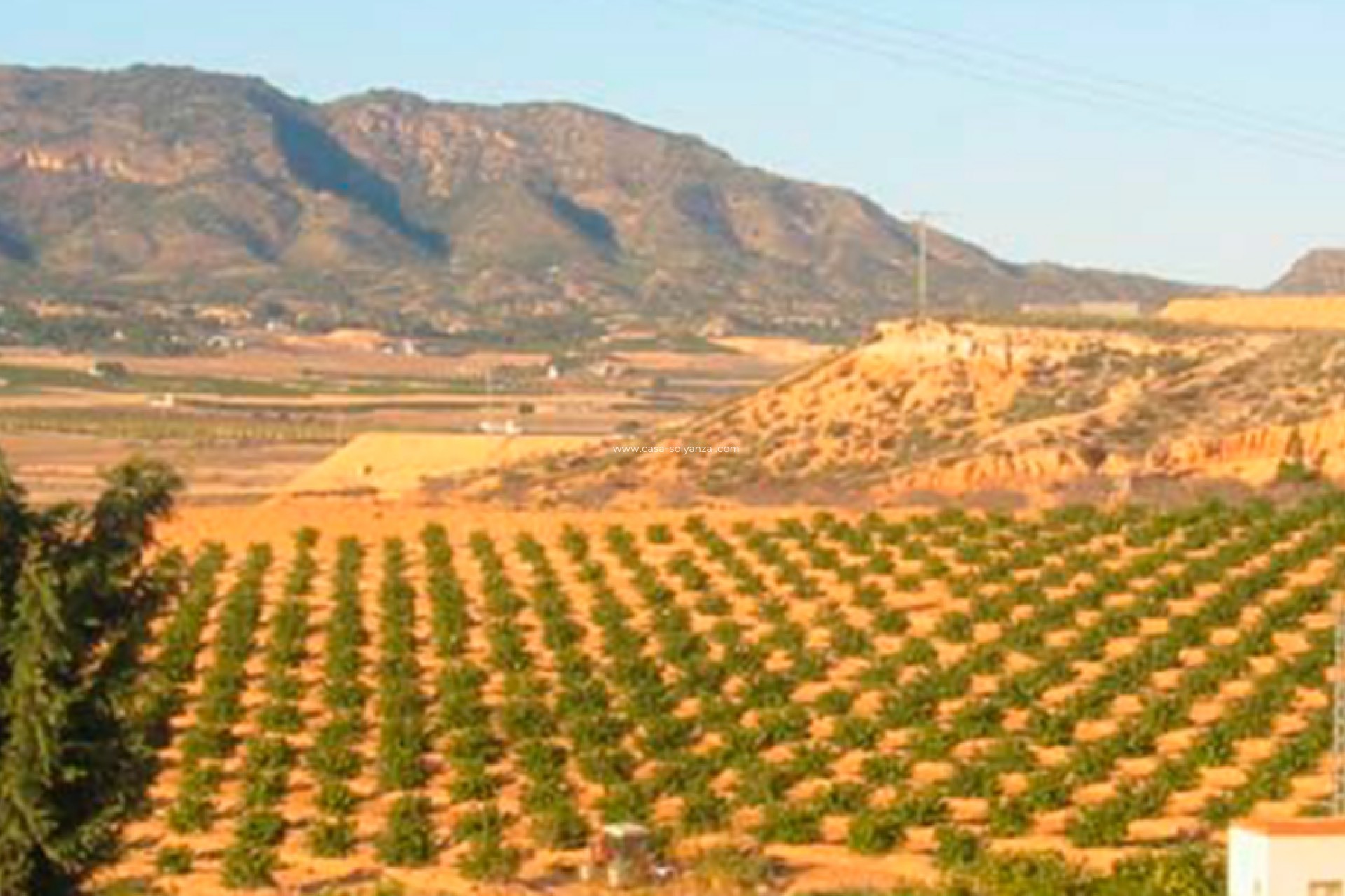 Reventa - Land - Torre Pacheco - Inland