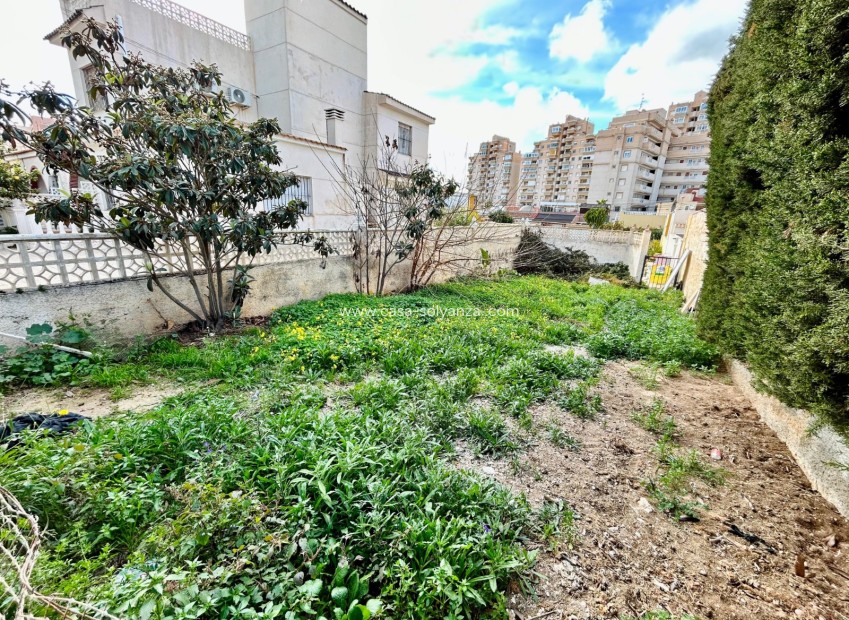 Reventa - Land - Torrevieja - Costa Blanca