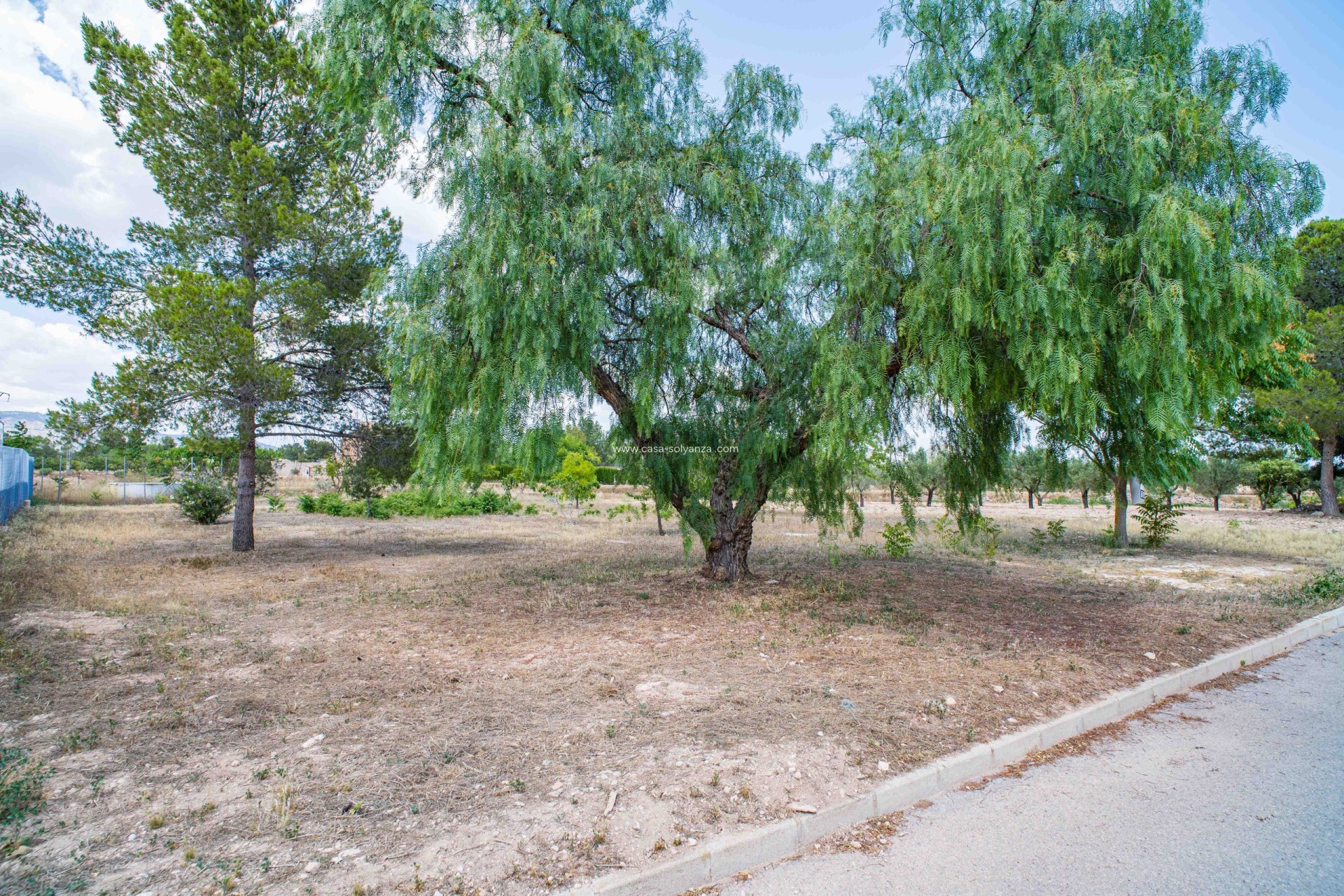 Reventa - Land - Ubeda
