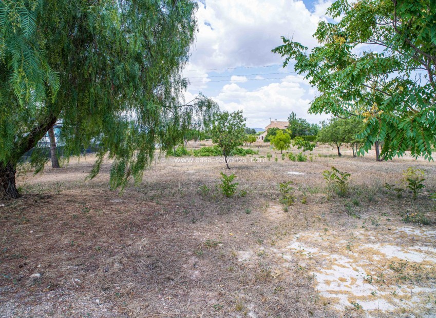 Reventa - Land - Ubeda