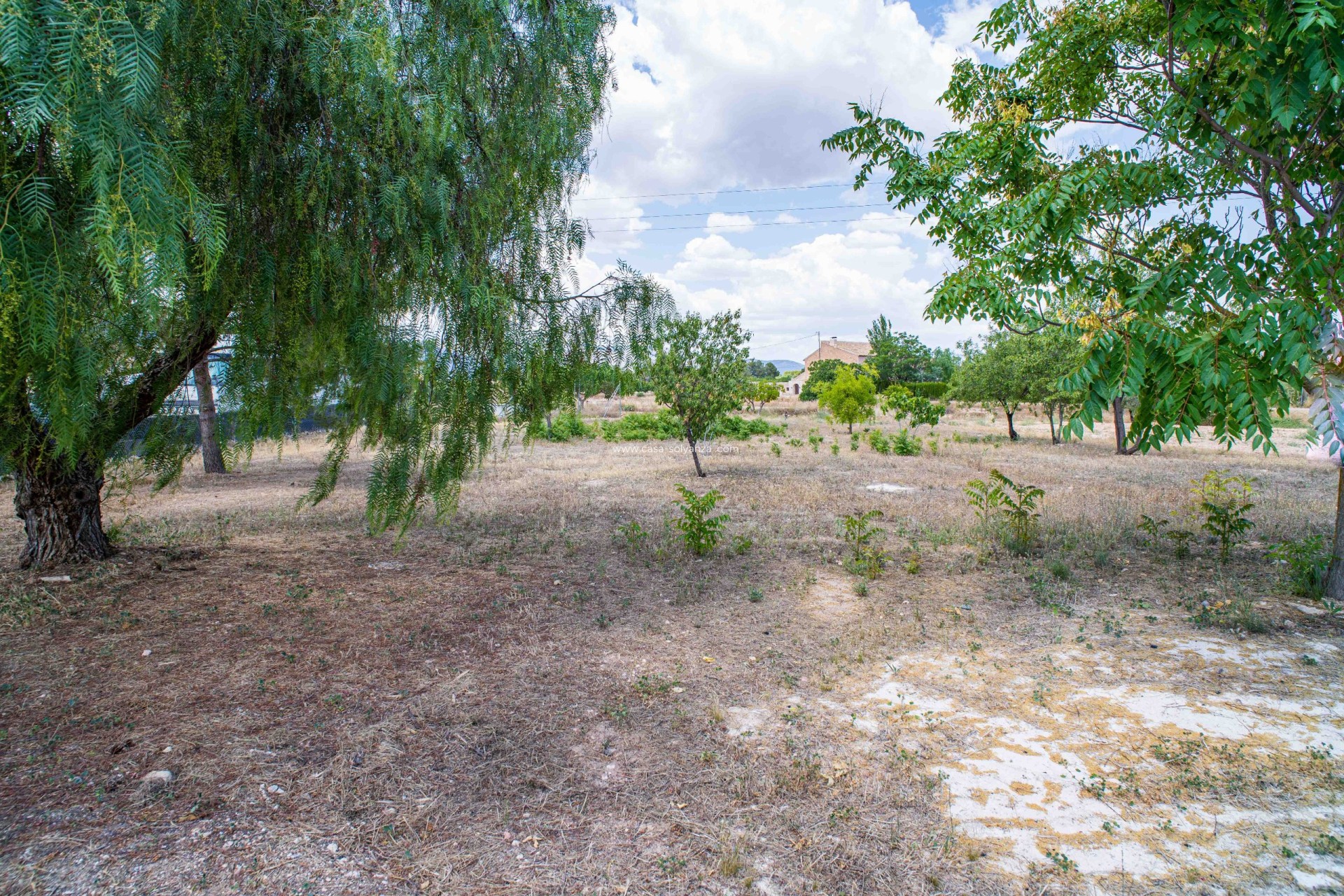 Reventa - Land - Ubeda