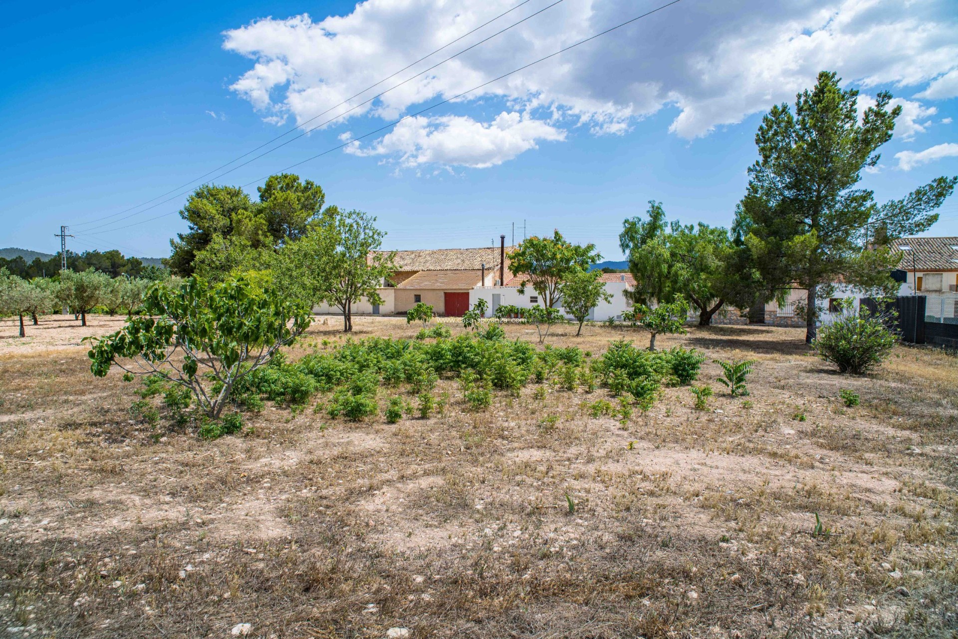 Reventa - Land - Ubeda