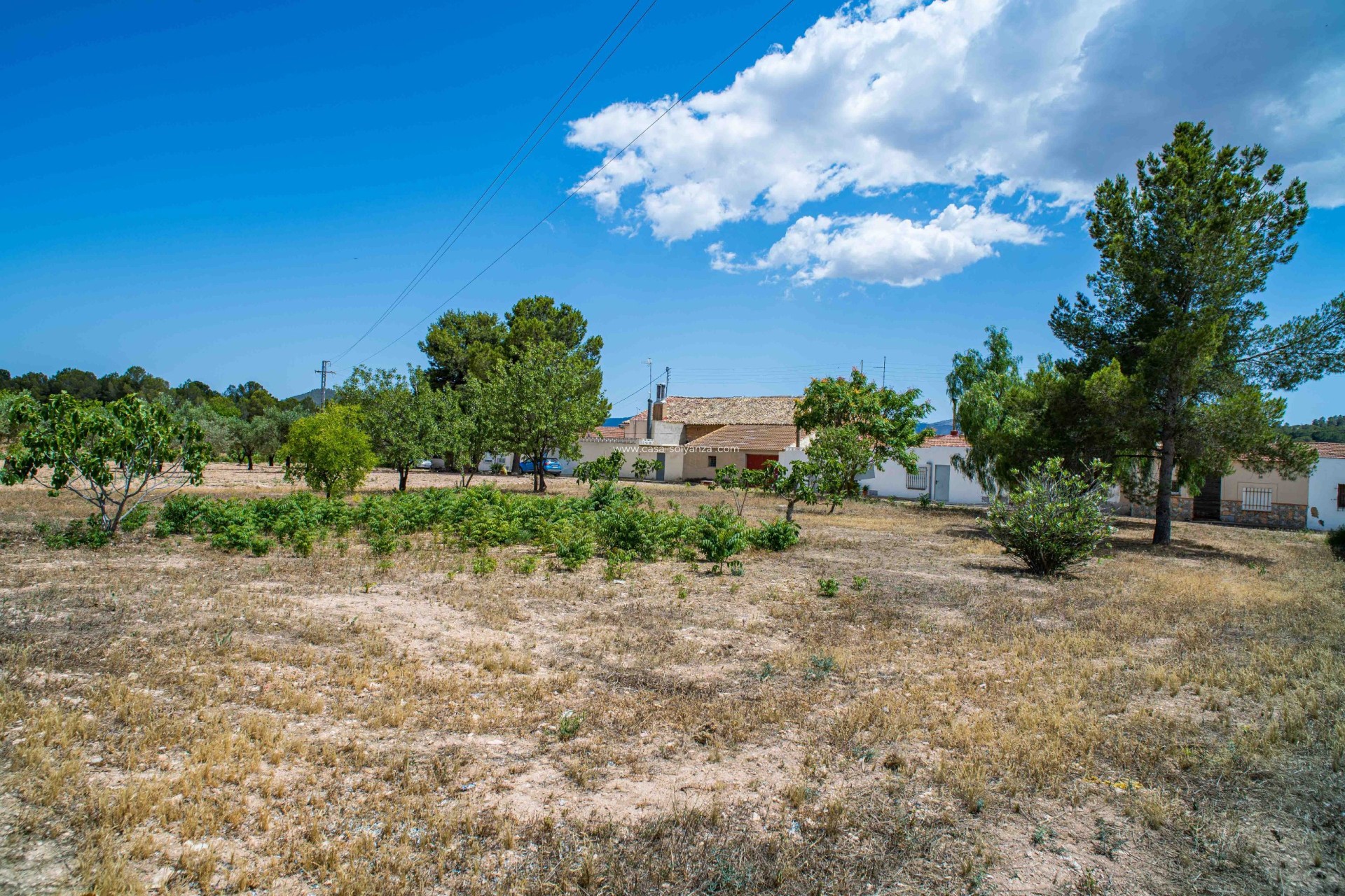 Reventa - Land - Ubeda