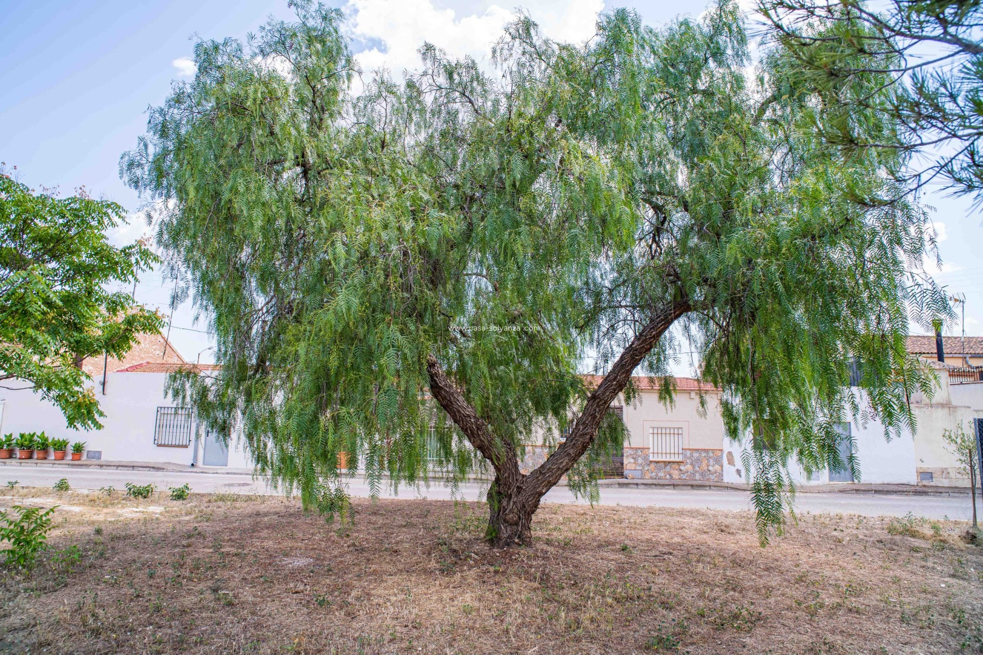 Reventa - Land - Ubeda