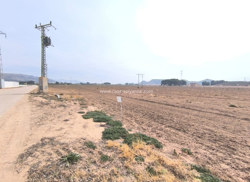 Reventa - Land - Villena - Inland