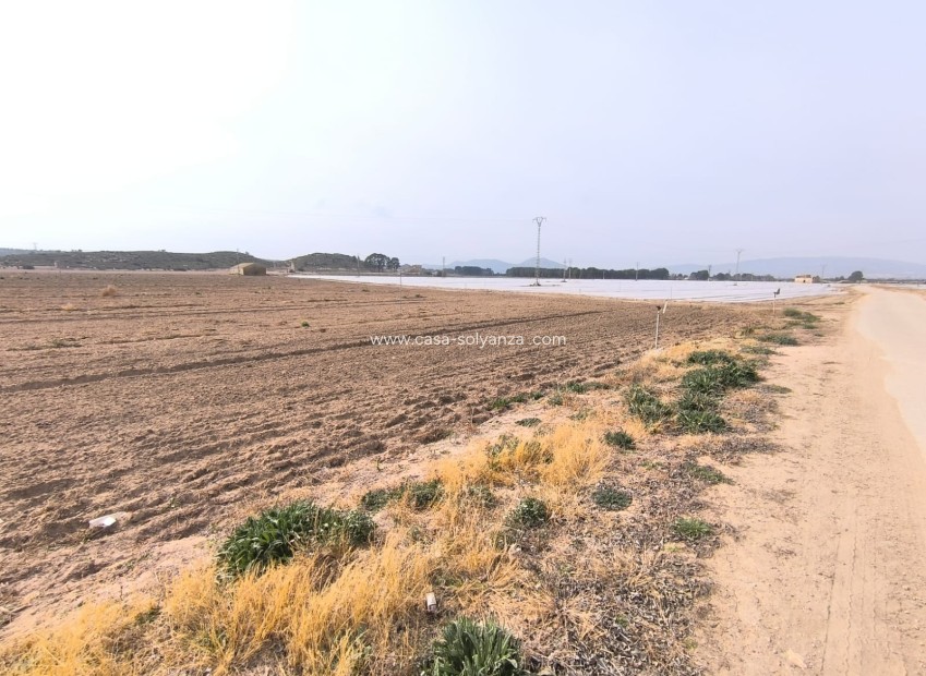 Reventa - Land - Villena - Inland