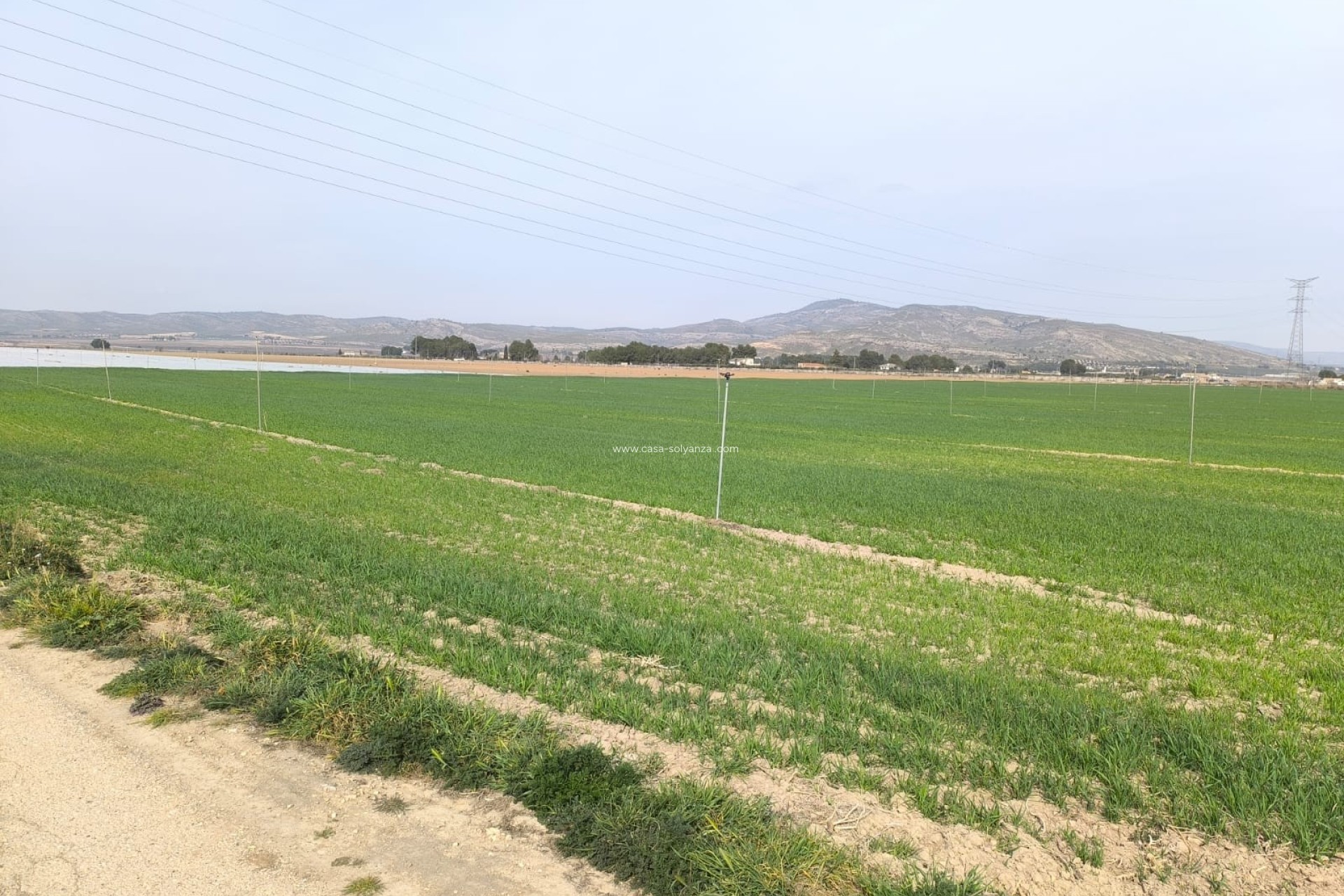 Reventa - Land - Villena - Inland