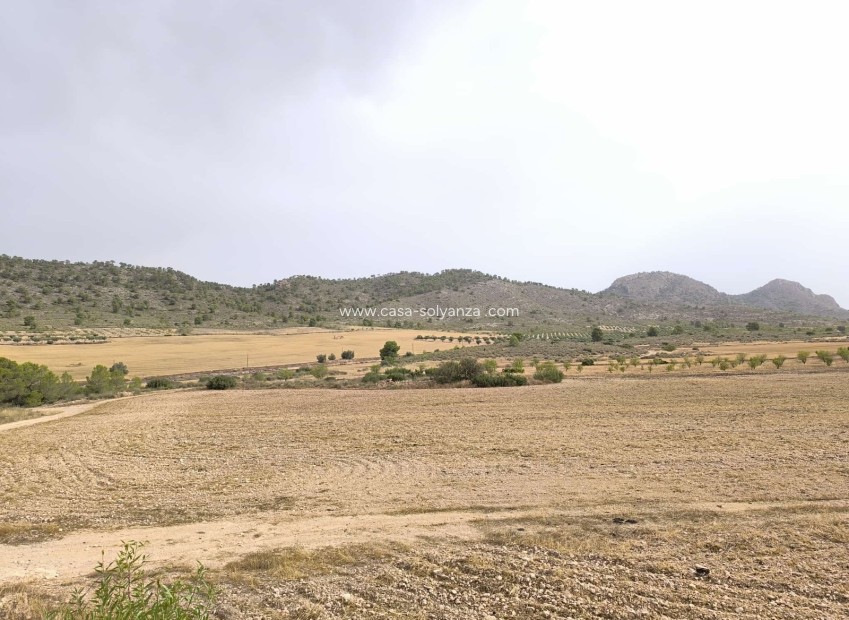 Reventa - Land - Yecla - Inland