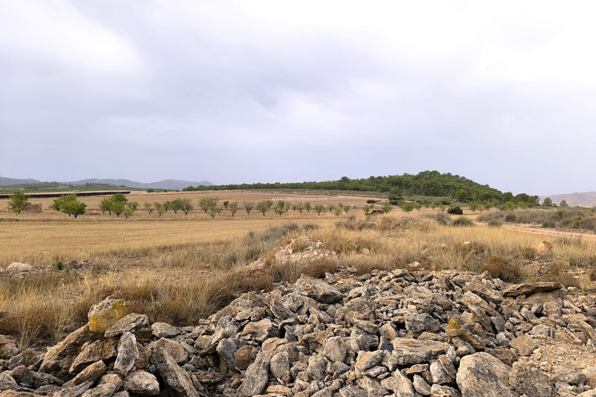 Reventa - Land - Yecla - Inland