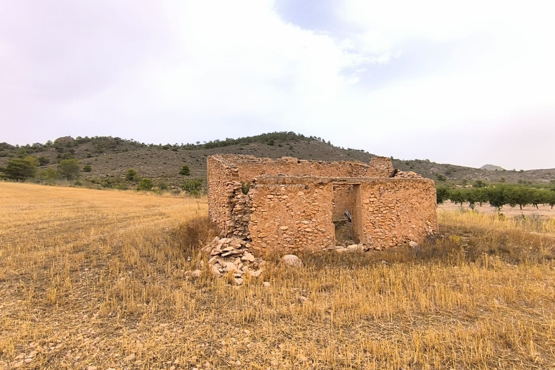 Reventa - Land - Yecla - Inland