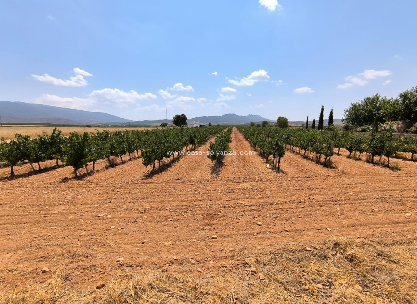 Reventa - Land - Yecla - Inland
