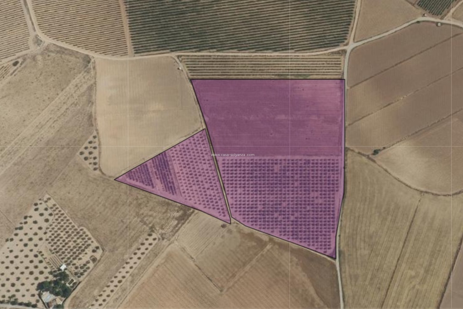 Reventa - Land - Yecla - Inland