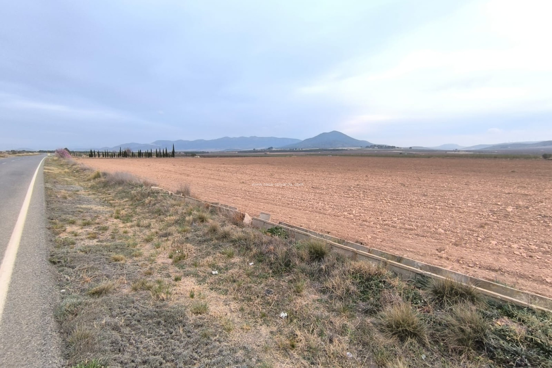 Reventa - Land - Yecla - Inland