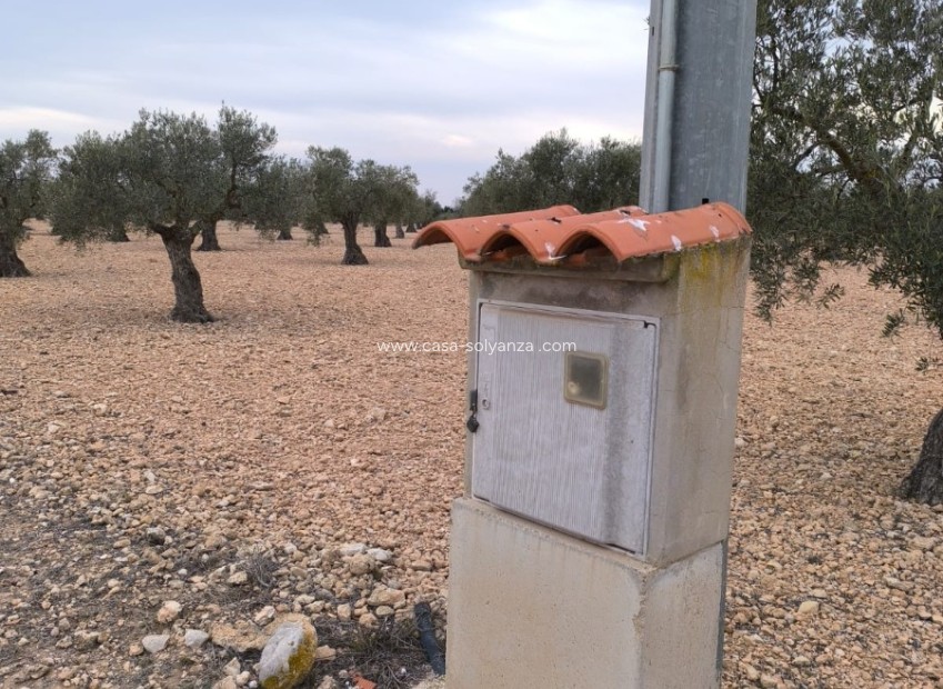 Reventa - Land - Yecla - Inland