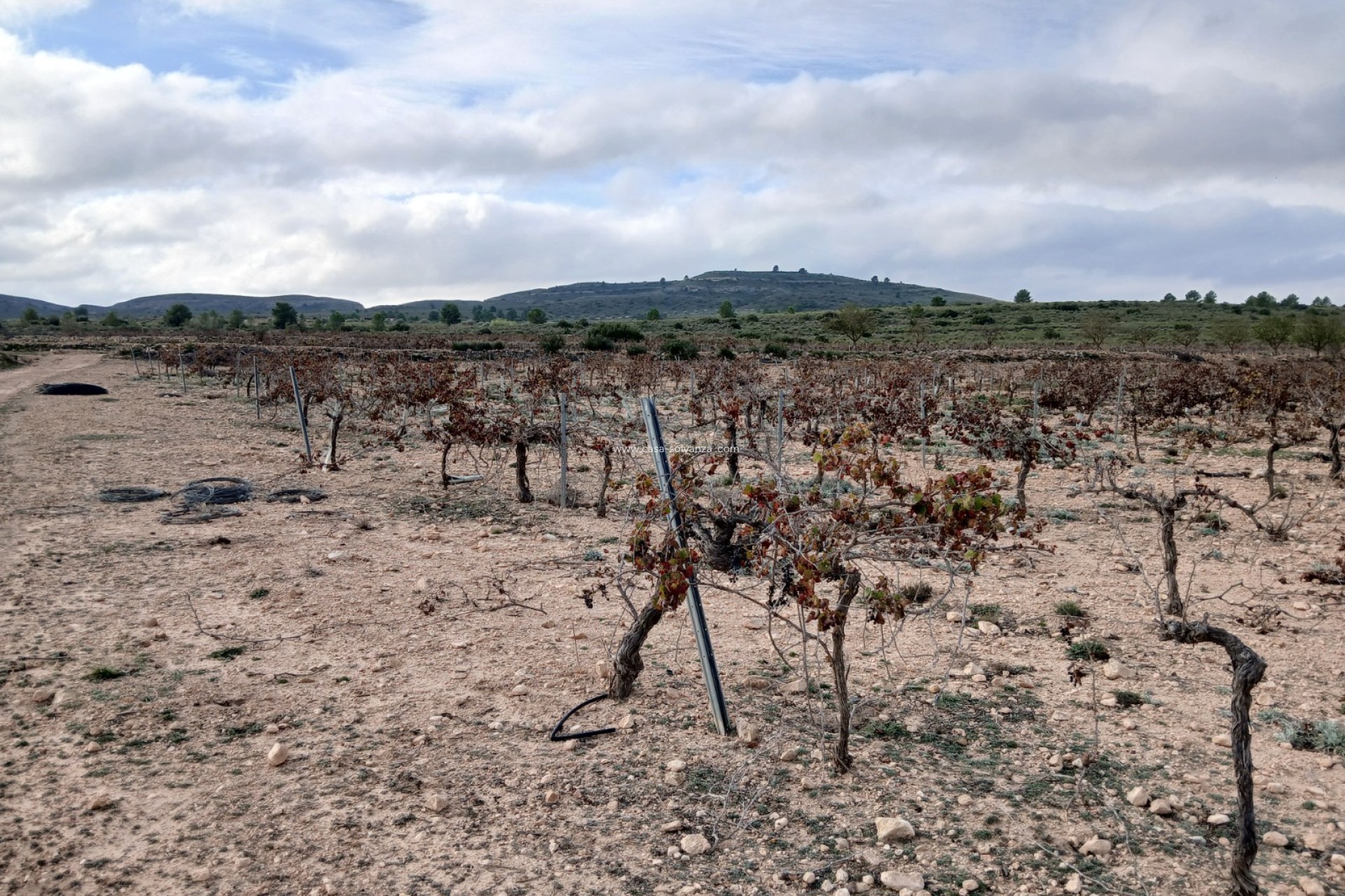 Reventa - Land - Yecla - Inland