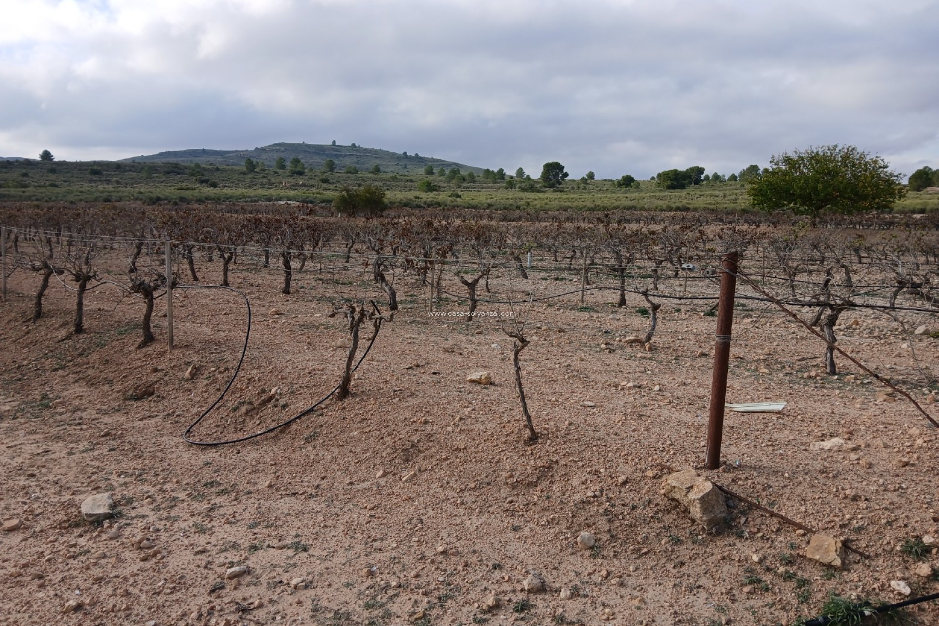 Reventa - Land - Yecla - Inland