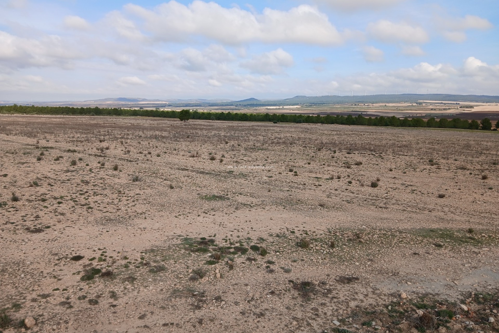 Reventa - Land - Yecla - Inland