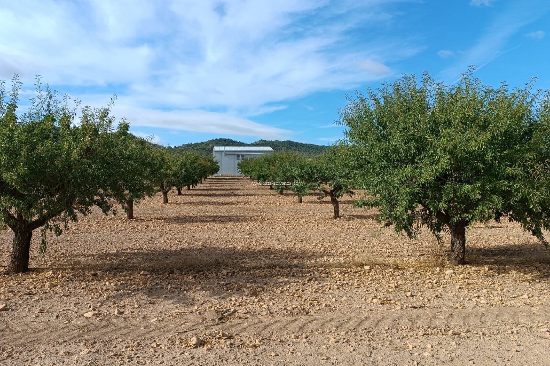 Reventa - Land - Yecla - Inland