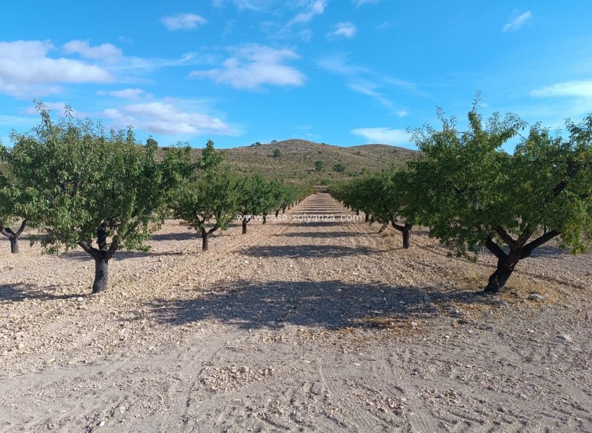 Reventa - Land - Yecla - Inland