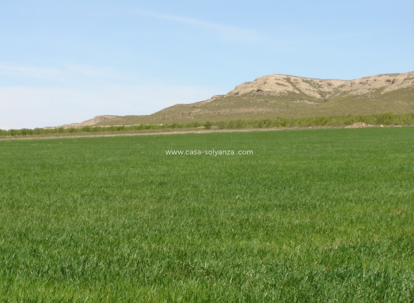 Reventa - Land - Yecla - Inland