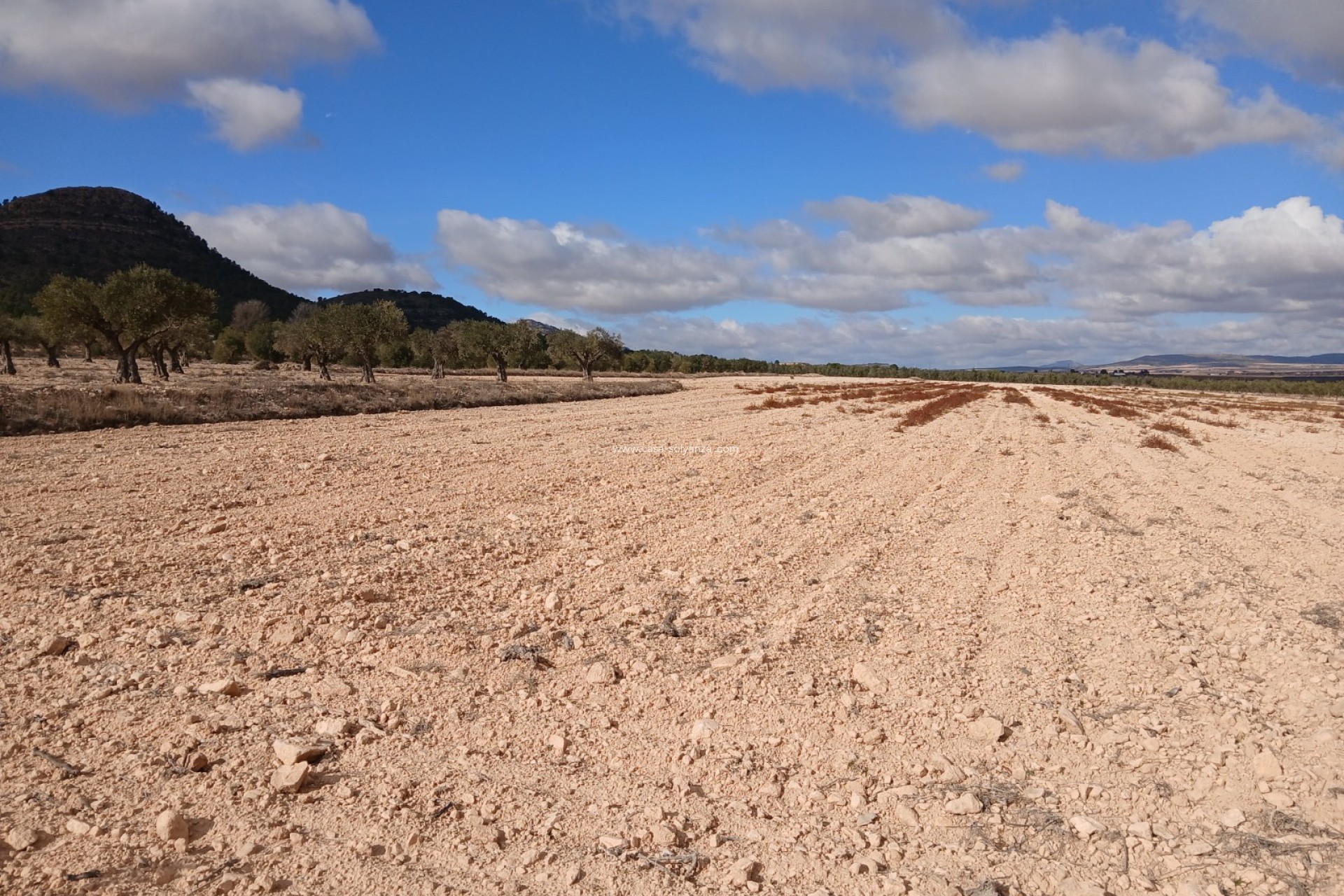 Reventa - Land - Yecla - Inland