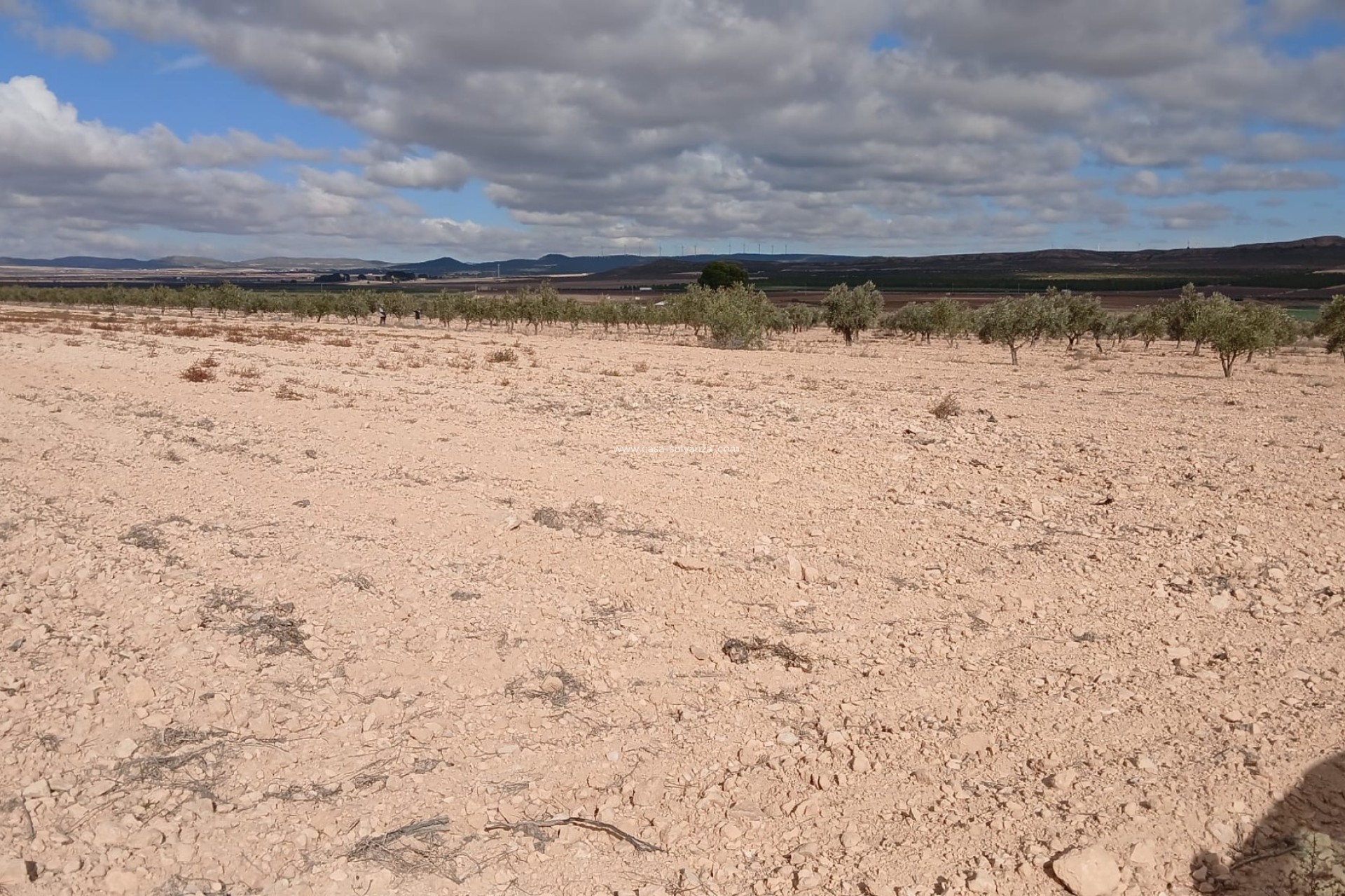 Reventa - Land - Yecla - Inland