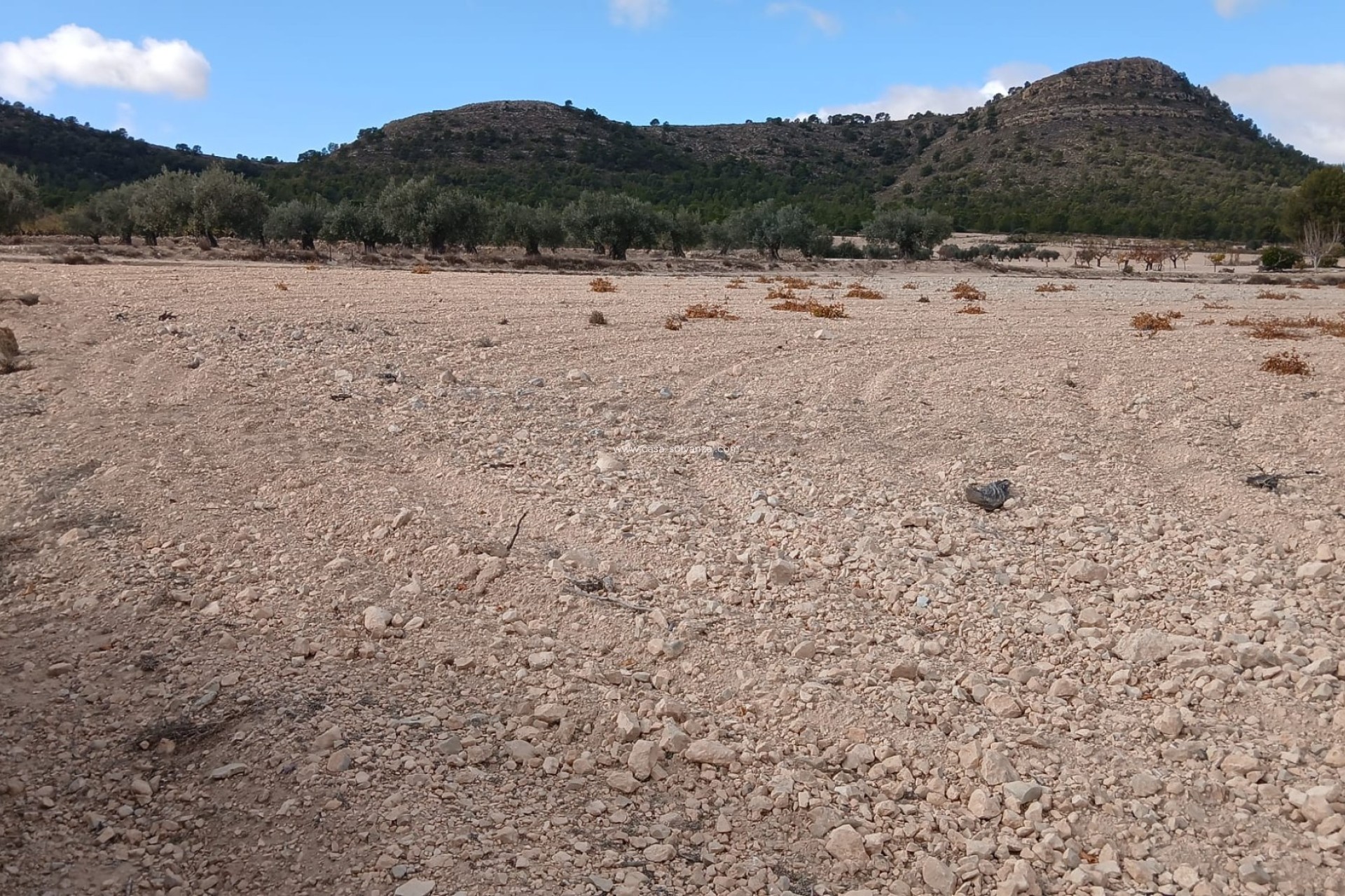 Reventa - Land - Yecla - Inland