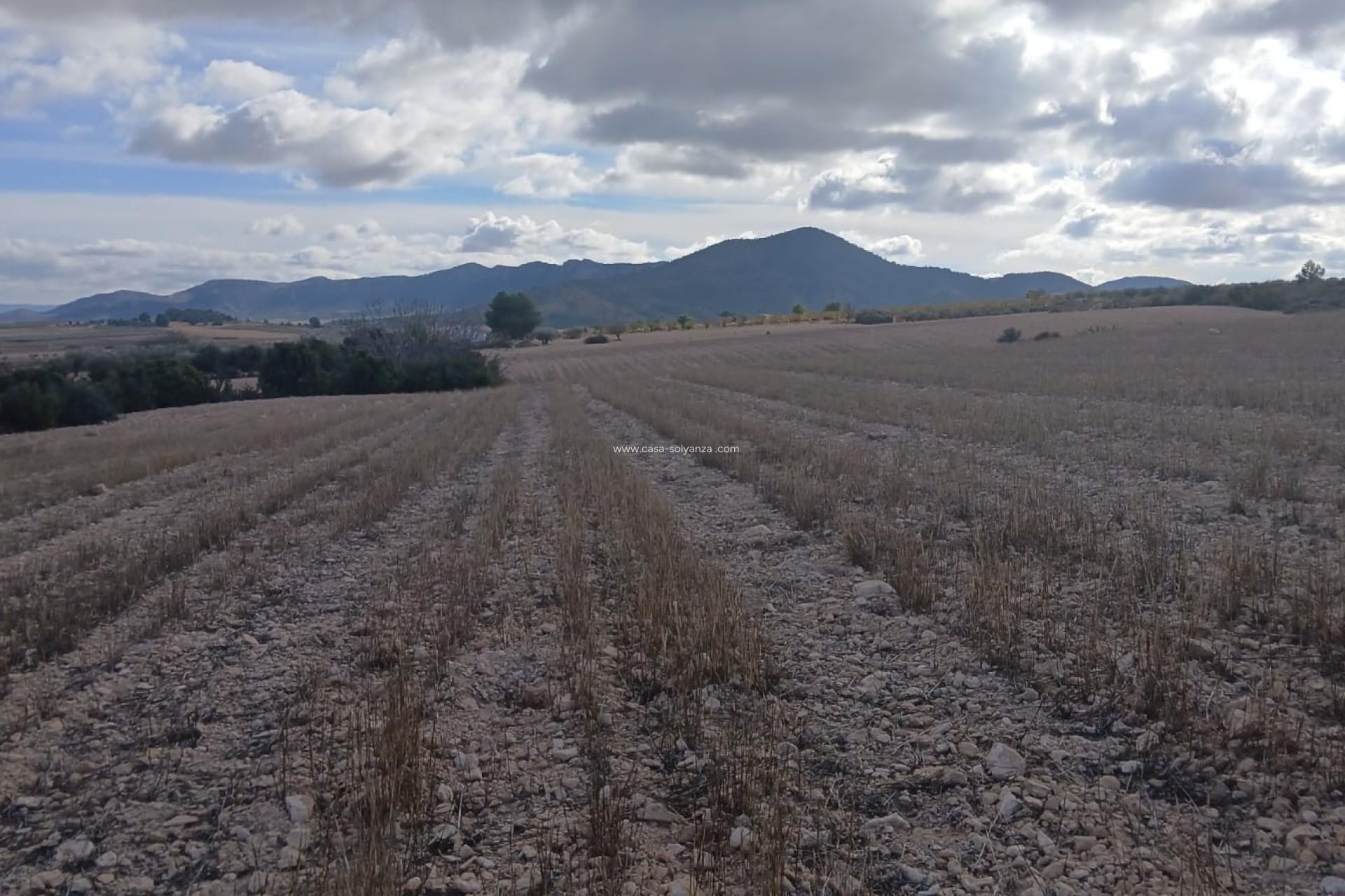 Reventa - Land - Yecla - Inland