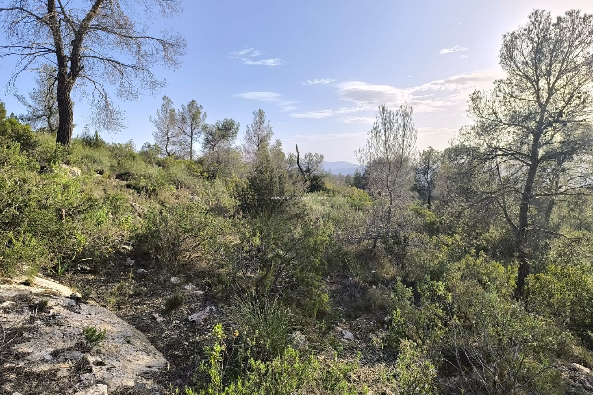 Reventa - Land - Yecla - Inland