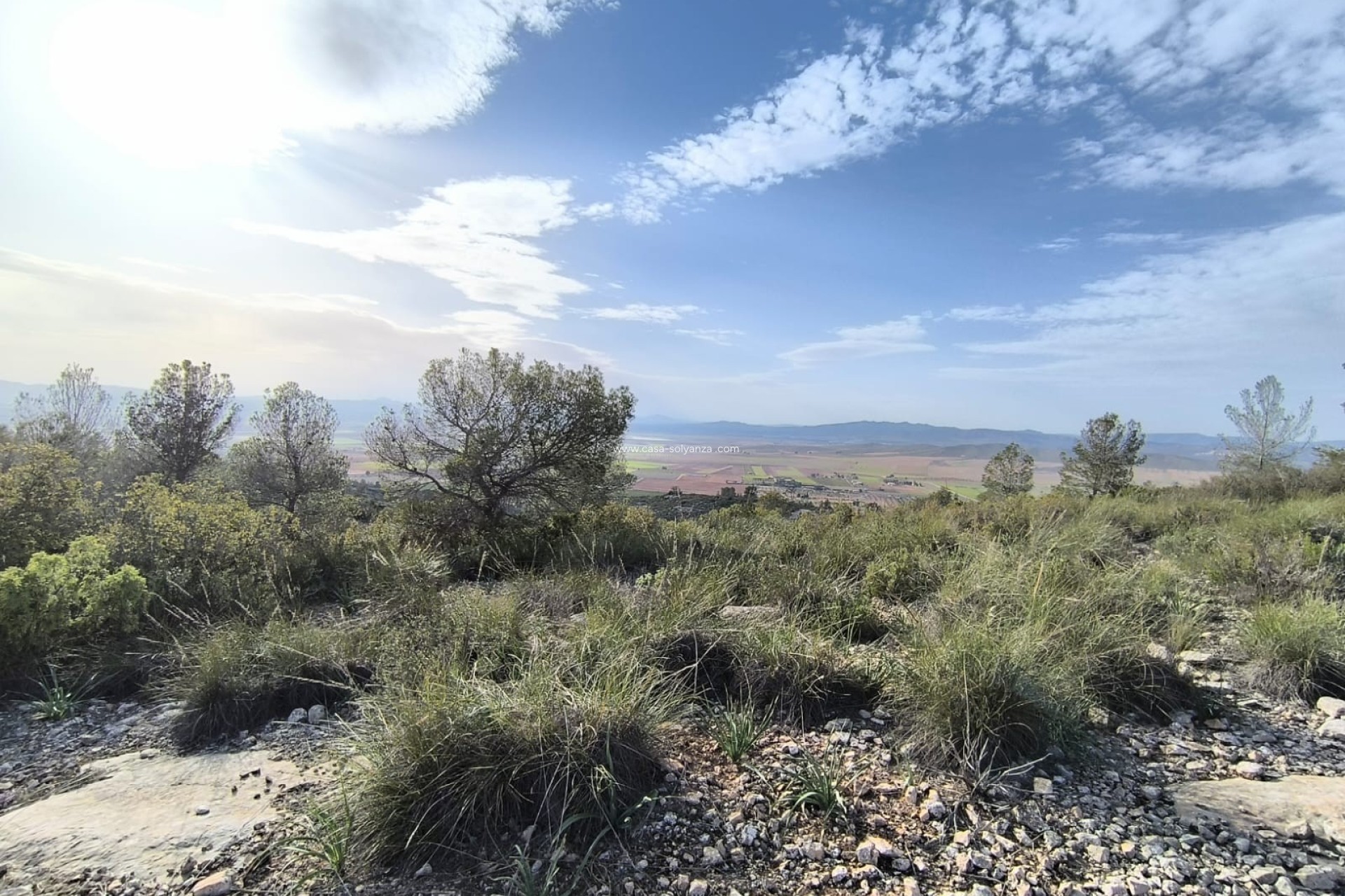 Reventa - Land - Yecla - Inland