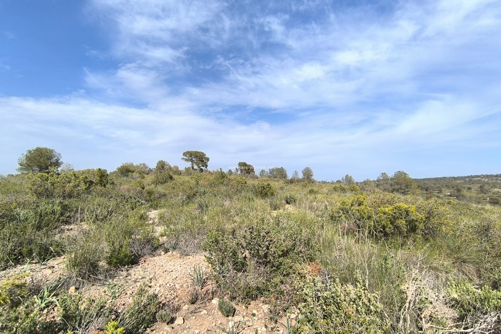 Reventa - Land - Yecla - Inland