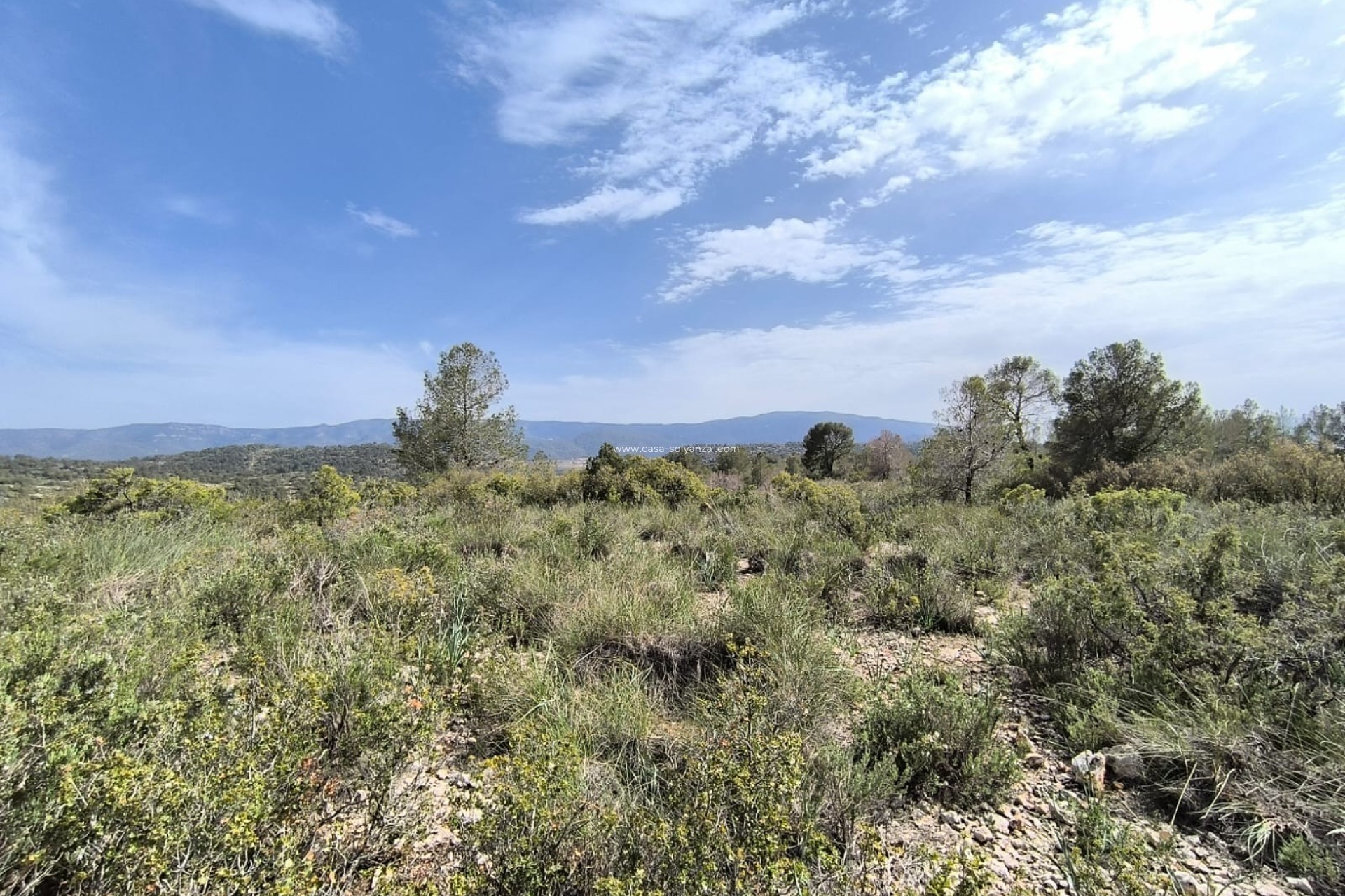 Reventa - Land - Yecla - Inland