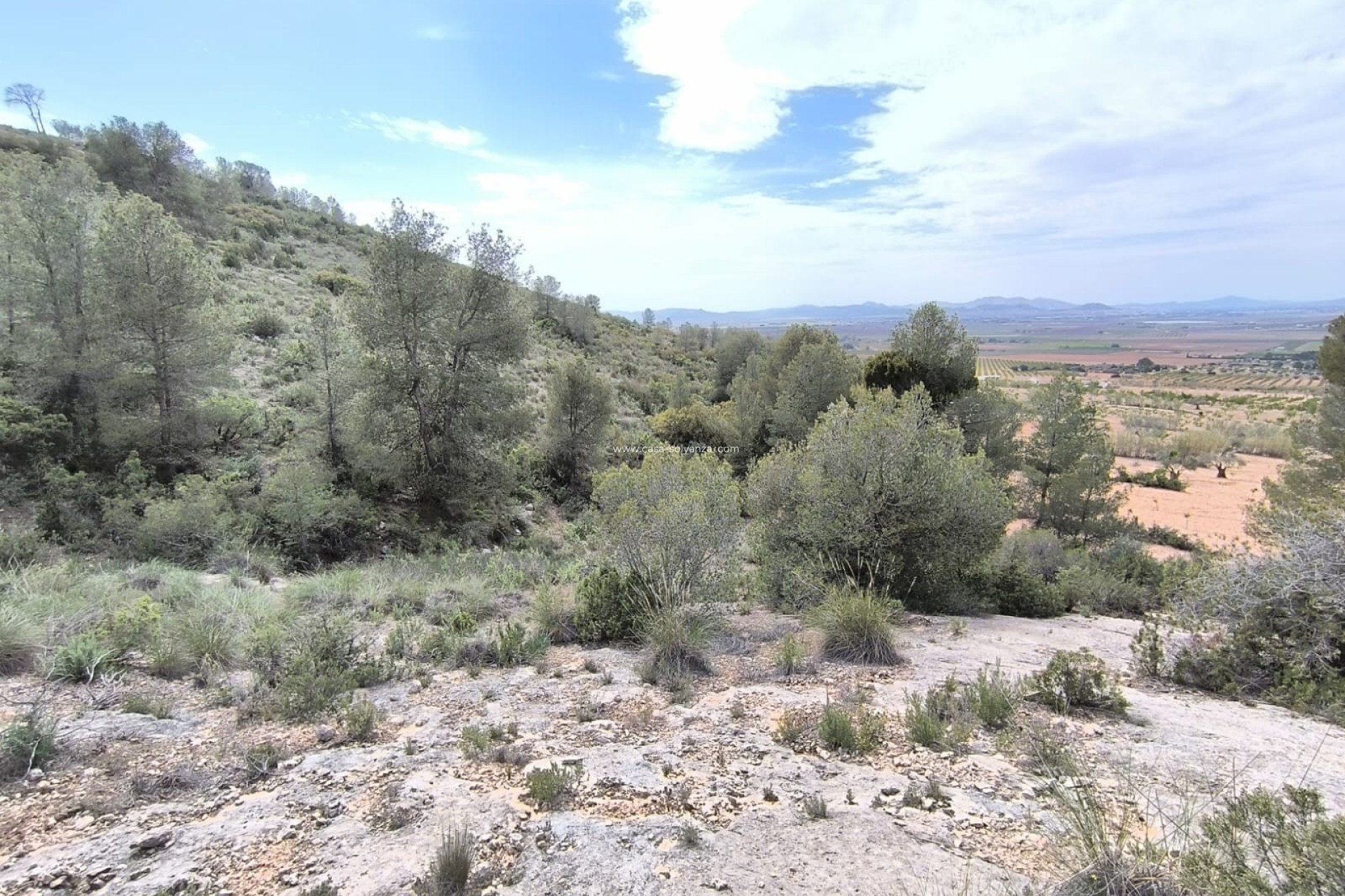 Reventa - Land - Yecla - Inland