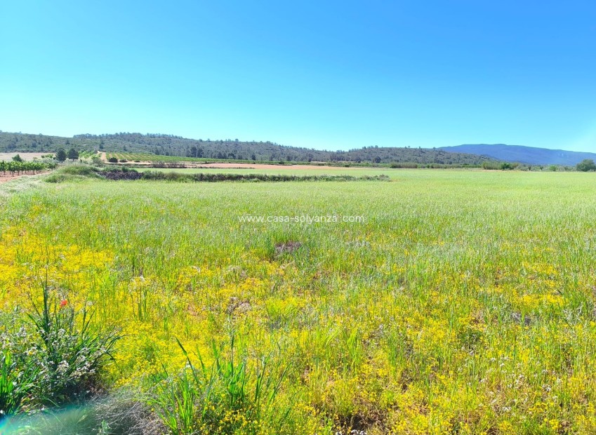 Reventa - Land - Yecla - Inland