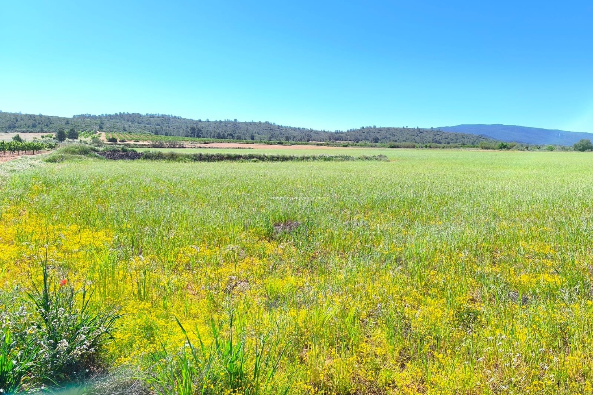 Reventa - Land - Yecla - Inland