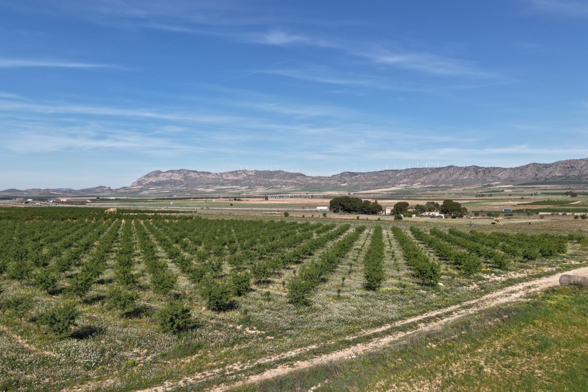 Reventa - Land - Yecla - Yecla Murcia