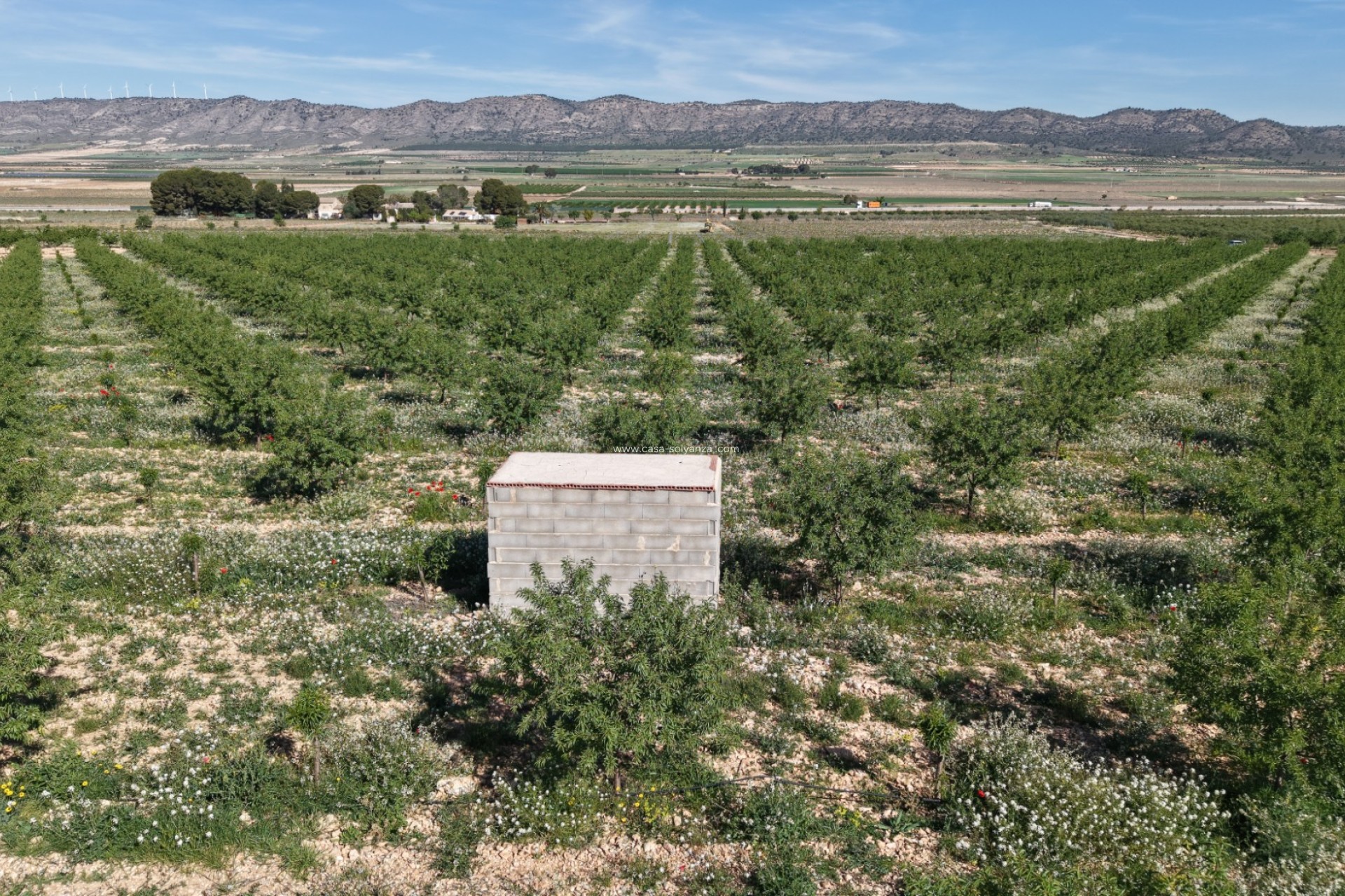 Reventa - Land - Yecla - Yecla Murcia