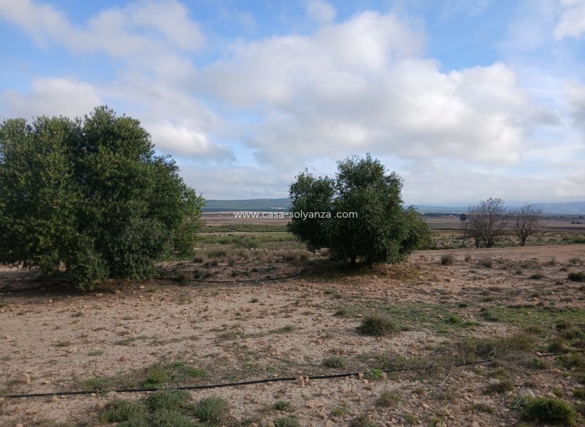 Reventa - Land - Yecla