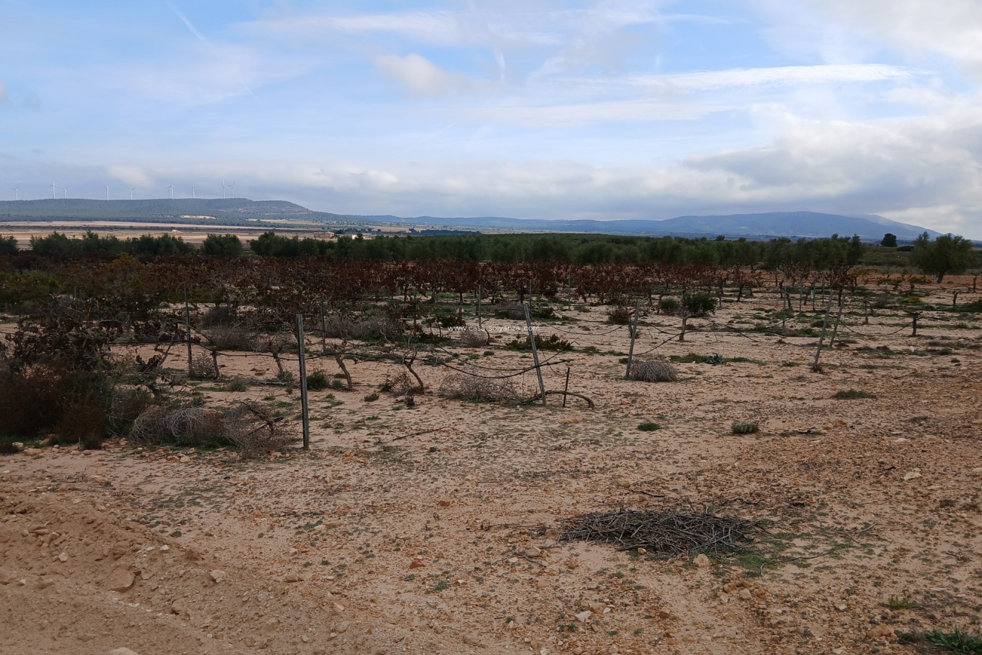 Reventa - Land - Yecla