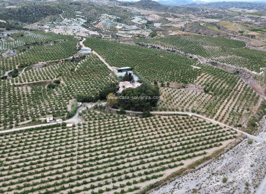 Reventa - Olivar - Puerto Lumbreras - Nogalte