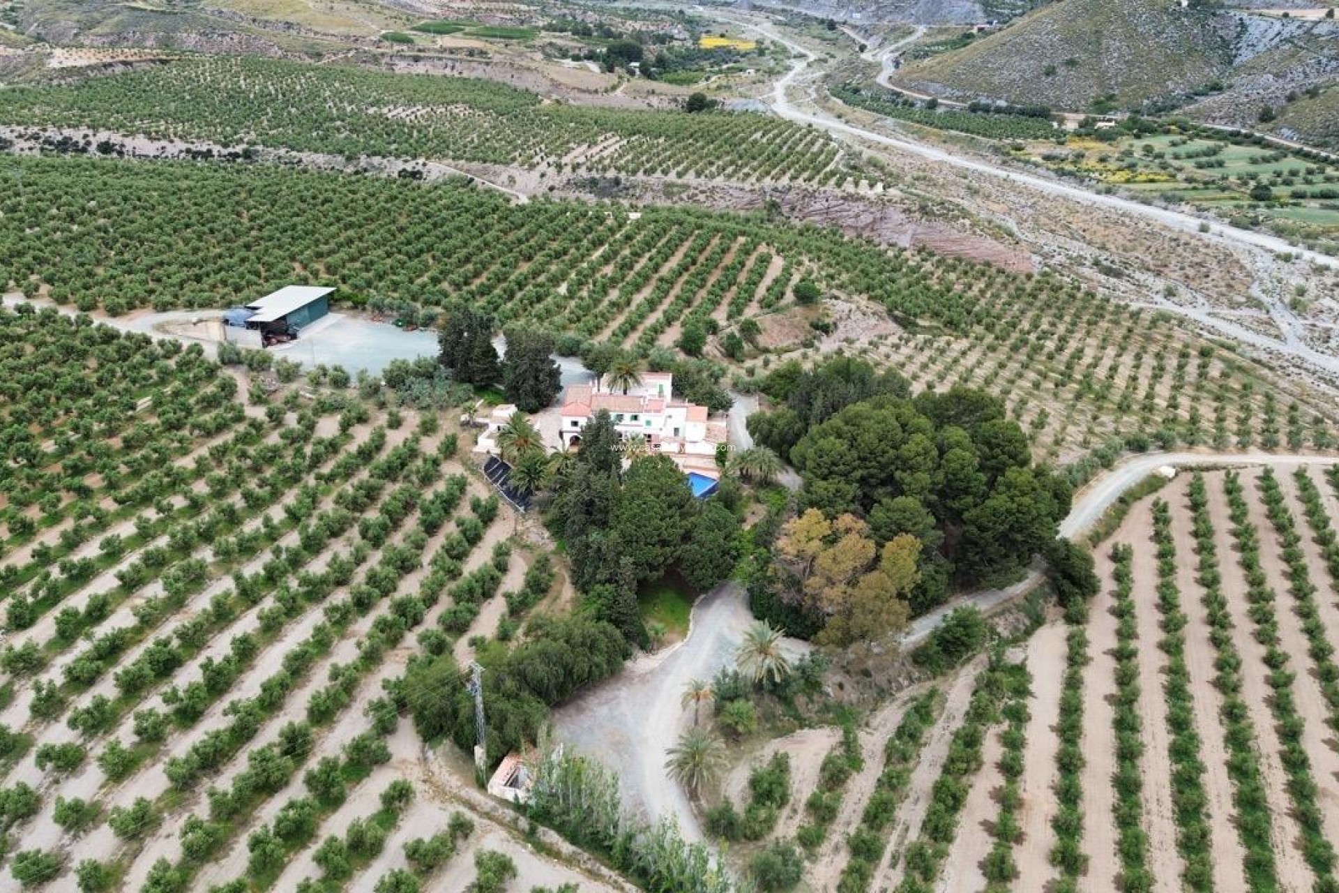 Reventa - Olivar - Puerto Lumbreras - Nogalte