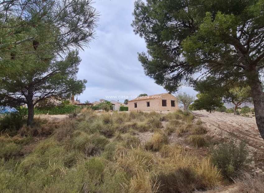 Reventa - Other - Abanilla - Inland