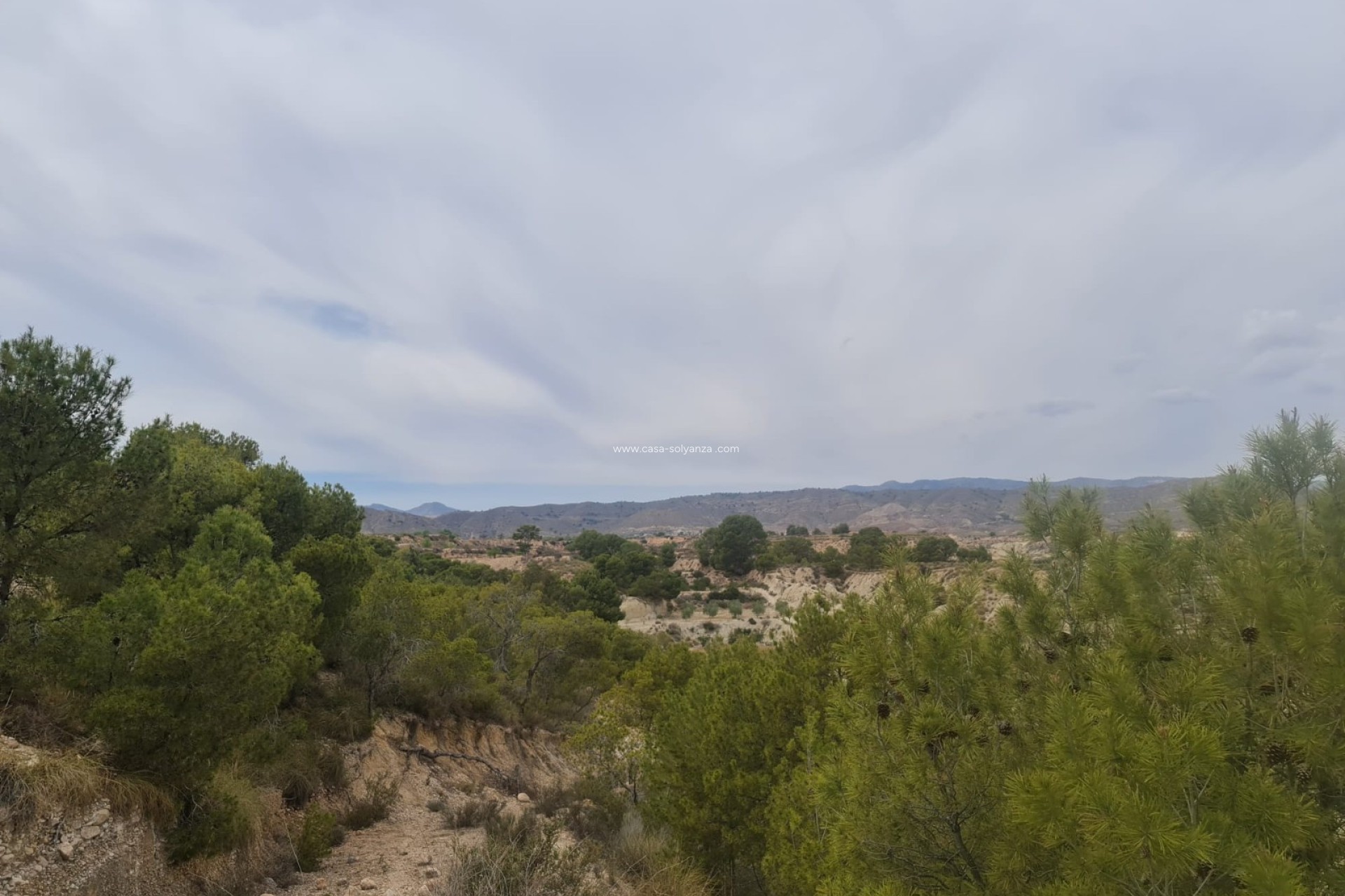 Reventa - Other - Abanilla - Inland